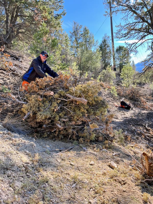 Planned Pile Burn Scheduled Near Linwood Cemetery Dec 9-10 as Next Step in Fuels Mitigation Project