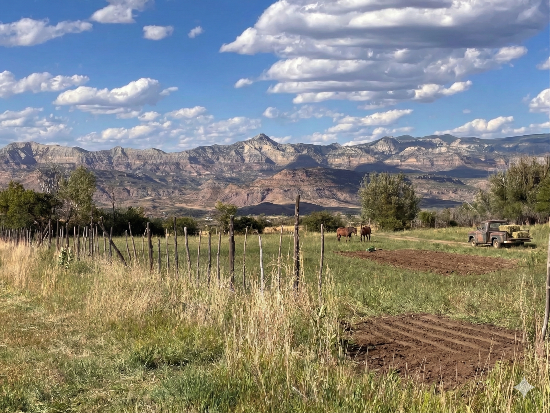 Ag Awareness Week to Highlight Mesa County’s Agricultural Heritage and Future